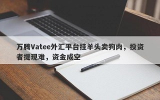 万腾Vatee外汇平台挂羊头卖狗肉，投资者提现难，资金成空