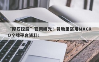 “摩石控股”官网曝光！背地里盗用MACRO全牌平台资料！