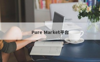 Pure Market平台