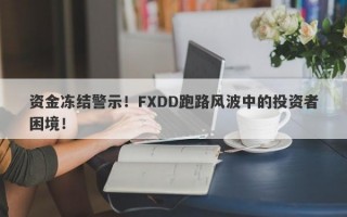 资金冻结警示！FXDD跑路风波中的投资者困境！