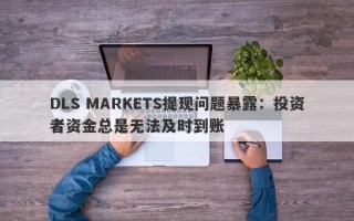 DLS MARKETS提现问题暴露：投资者资金总是无法及时到账