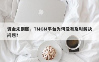 资金未到账，TMGM平台为何没有及时解决问题？