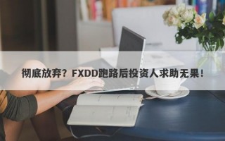 彻底放弃？FXDD跑路后投资人求助无果！