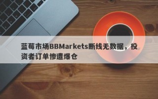 蓝莓市场BBMarkets断线无数据，投资者订单惨遭爆仓