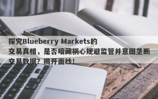 探究Blueberry Markets的交易真相，是否暗藏祸心规避监管并意图垄断交易数据？揭开面纱！