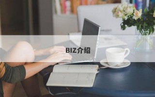 BIZ介绍