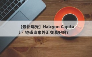 【最新曝光】Halcyon Capital · 铠盛资本外汇交易好吗？
