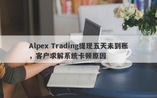 Alpex Trading提现五天未到账，客户求解系统卡顿原因