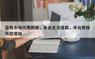 蓝莓市场代理跑路，本金无法提取，平台跑路风险增加