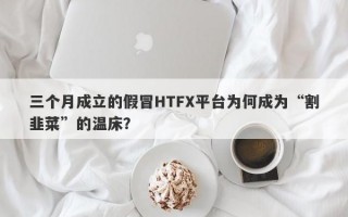 三个月成立的假冒HTFX平台为何成为“割韭菜”的温床？