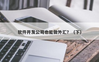 软件开发公司也能做外汇？（下）