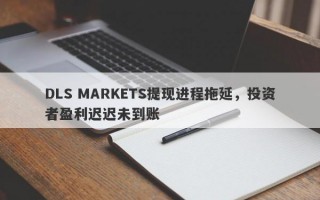 DLS MARKETS提现进程拖延，投资者盈利迟迟未到账