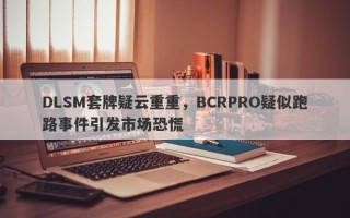 DLSM套牌疑云重重，BCRPRO疑似跑路事件引发市场恐慌