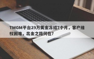 TMGM平台29万美金冻结7个月，客户维权困难，出金之路何在？