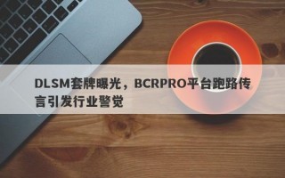 DLSM套牌曝光，BCRPRO平台跑路传言引发行业警觉