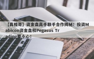 【真相哥】资金盘高手联手合作揭秘！投资Mabicon资金盘和Pegasus Trading要小心！