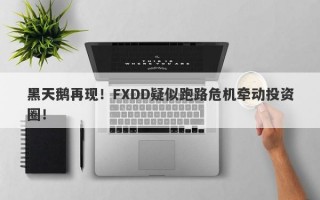 黑天鹅再现！FXDD疑似跑路危机牵动投资圈！