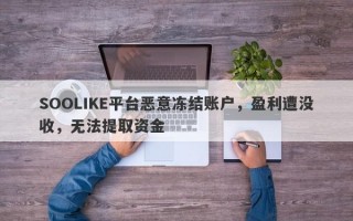 SOOLIKE平台恶意冻结账户，盈利遭没收，无法提取资金