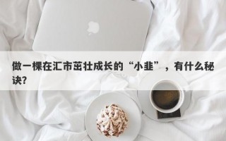 做一棵在汇市茁壮成长的“小韭”，有什么秘诀？