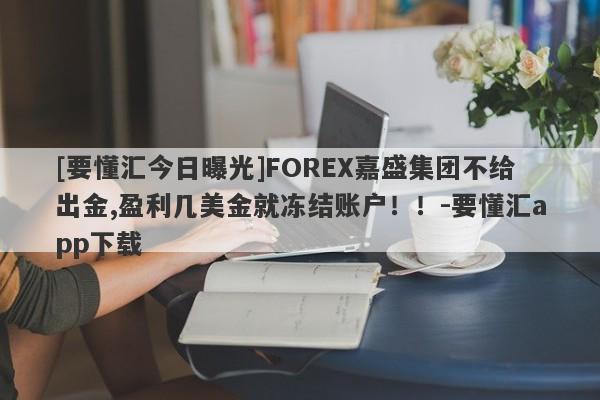 [要懂汇今日曝光]FOREX嘉盛集团不给出金,盈利几美金就冻结账户！！-要懂汇app下载-第1张图片-要懂汇圈网