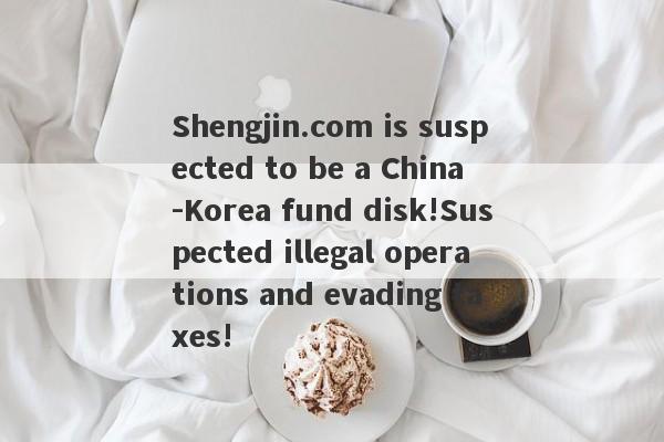 Shengjin.com is suspected to be a China -Korea fund disk!Suspected illegal operations and evading taxes!-第1张图片-要懂汇圈网