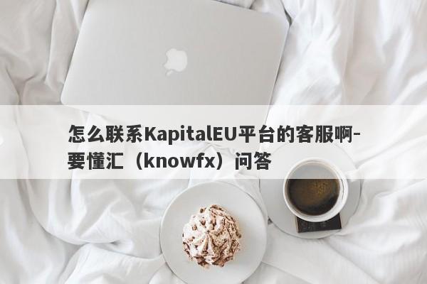 怎么联系KapitalEU平台的客服啊-要懂汇（knowfx）问答-第1张图片-要懂汇圈网