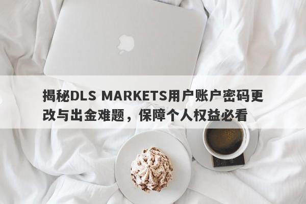 揭秘DLS MARKETS用户账户密码更改与出金难题，保障个人权益必看-第1张图片-要懂汇圈网