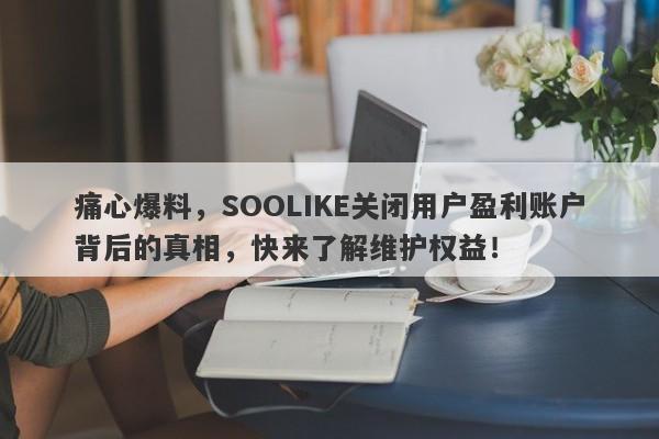 痛心爆料，SOOLIKE关闭用户盈利账户背后的真相，快来了解维护权益！-第1张图片-要懂汇圈网