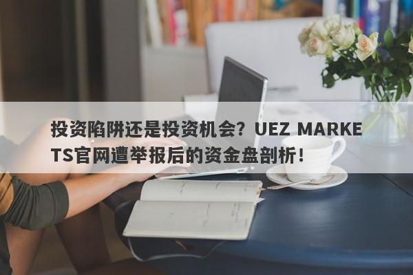 投资陷阱还是投资机会？UEZ MARKETS官网遭举报后的资金盘剖析！-第1张图片-要懂汇圈网