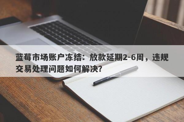 蓝莓市场账户冻结：放款延期2-6周，违规交易处理问题如何解决？-第1张图片-要懂汇圈网