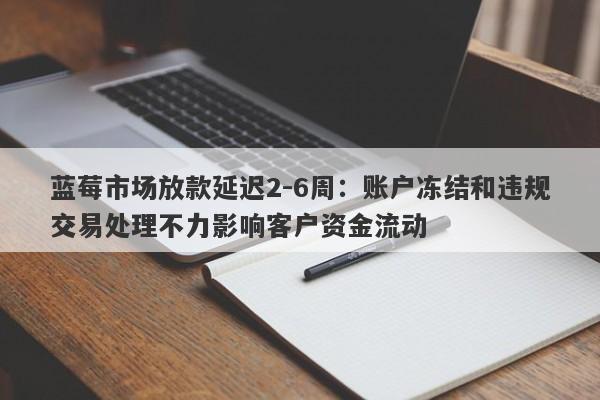 蓝莓市场放款延迟2-6周：账户冻结和违规交易处理不力影响客户资金流动-第1张图片-要懂汇圈网