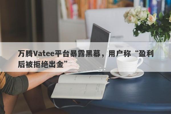 万腾Vatee平台暴露黑幕，用户称“盈利后被拒绝出金”-第1张图片-要懂汇圈网