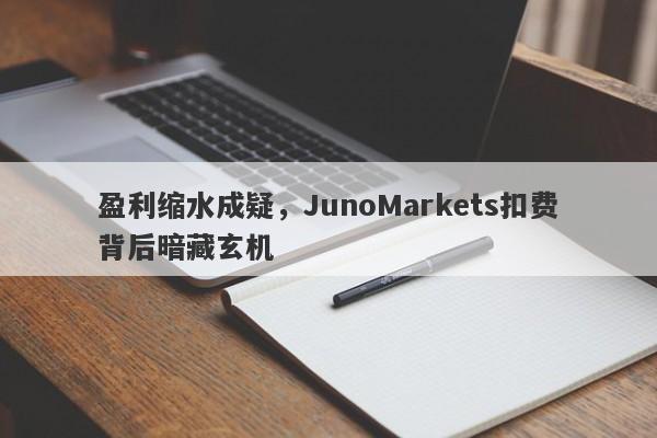 盈利缩水成疑，JunoMarkets扣费背后暗藏玄机-第1张图片-要懂汇圈网