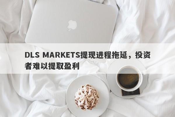 DLS MARKETS提现进程拖延，投资者难以提取盈利-第1张图片-要懂汇圈网