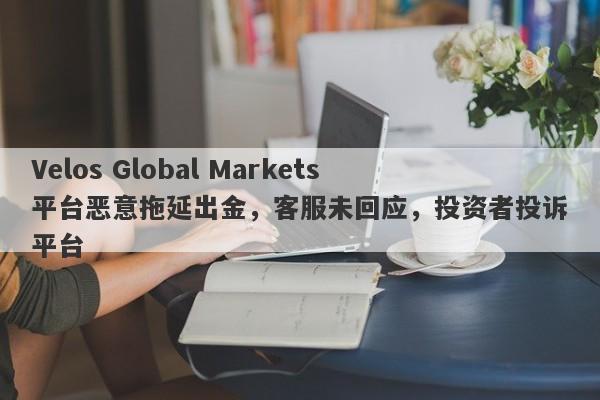 Velos Global Markets平台恶意拖延出金，客服未回应，投资者投诉平台-第1张图片-要懂汇圈网