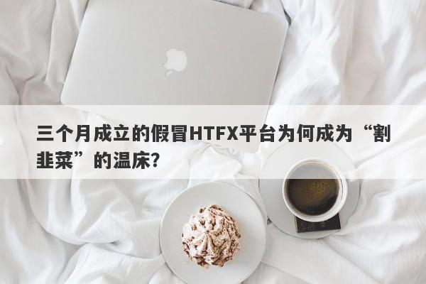 三个月成立的假冒HTFX平台为何成为“割韭菜”的温床？-第1张图片-要懂汇圈网