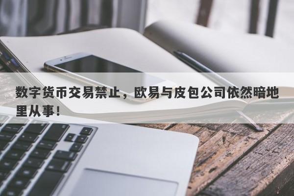 数字货币交易禁止，欧易与皮包公司依然暗地里从事！-第1张图片-要懂汇圈网